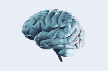 Toxic and Heavy Metals Toxicity Symptoms