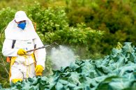 Is there really a global epidemic?